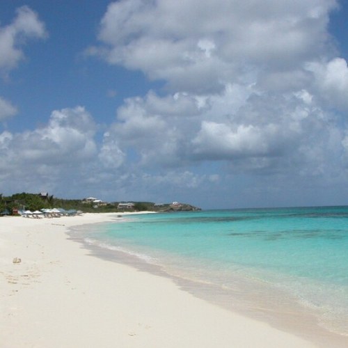 aesiscalifornia's profile picture. 