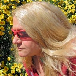 Lawyer, social birder, casual photographer, dog lover, inspired cook, New Mexican. 鳥の写真