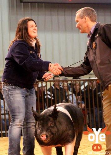 SisserStenger's profile picture. Huntin' Muddin' FFA Show pigs Sports