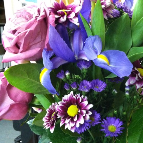 melissadisme's profile picture. 