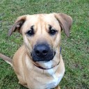 David Clair - @declair - Twitter