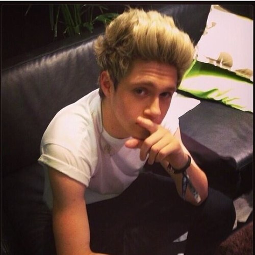 The hot Irish blonde mofo in One Direction. Bi. Rp. Single.