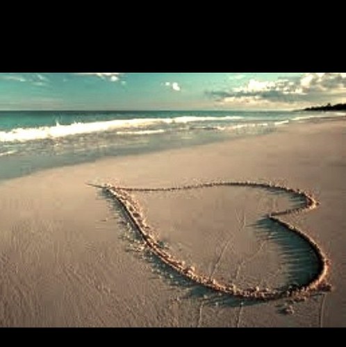 feelingsrelates's profile picture. 