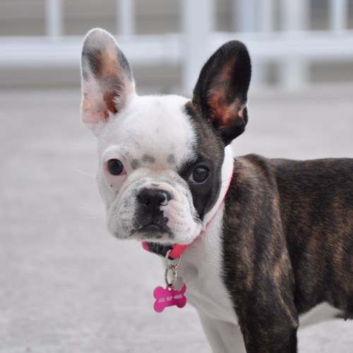 morpheus_99's profile picture. 