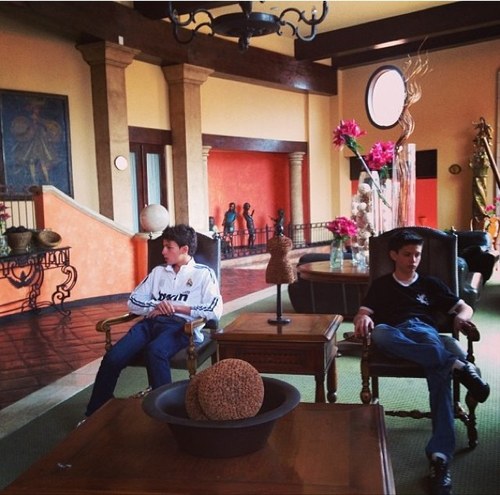 JuancarlosGree1's profile picture. 