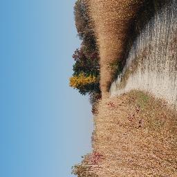 Magpie124's profile picture. 