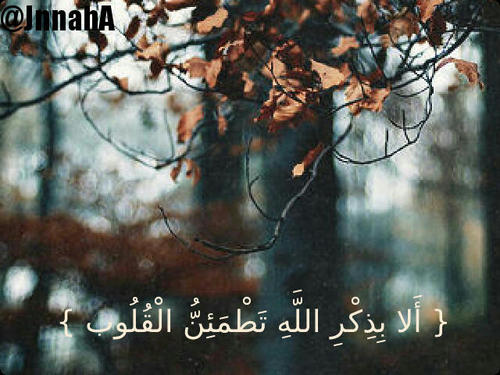{ أَلا بِذِكْرِ اللَّهِ تَطْمَئِنُّ الْقُلُوب }                         حساب لذكر الله.