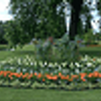 F&P Lawn&Landscaping (@fp_lawn) 's Twitter Profile