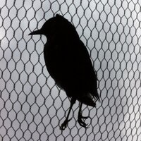 Chatto (@jimchatto) 's Twitter Profile
