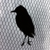 Chatto (@jimchatto) Twitter profile photo