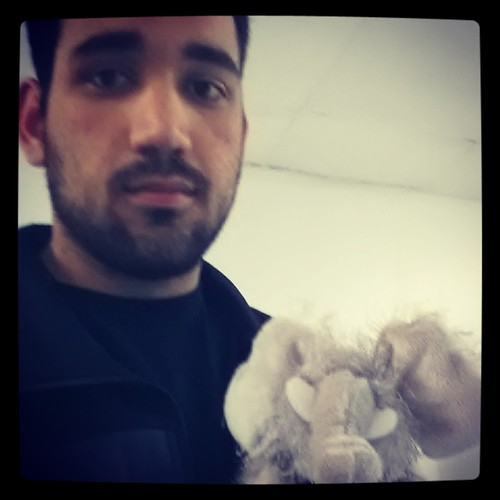 emadbahhur's profile picture. meow