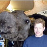 Steve Loiaconi (@sloiaconi) 's Twitter Profile Photo