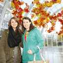 Meg Adams - @MegJ_Adams - Twitter