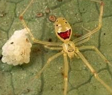 LouiseF25's profile picture. I really hate politicians.
I like books, chemistry, the internet, Asian movies, rock music etc.