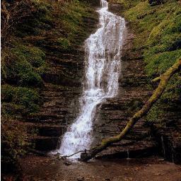 Visit the stunning area of the Radnorshire Marches on the border of England & Wales. 
Steeped in history, full of wildlife & quite a foodie heaven.