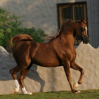 ' بالكتآبة أصبحنآ أصدقاء لبشر لم نلتقي بهم أبداً.. ♡