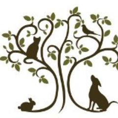 PuppyAmore1's profile picture. South Coast Pet Hopsital located near South Coast Plaza is open & serving Santa Ana, Costa Mesa, Newport Beach, Fountain Valley and Huntington Beach community