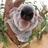 FabioCalegari_'s profile image