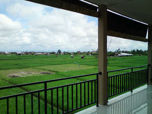 wida285's profile picture. 