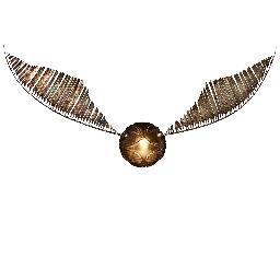 Gazette du Sorcier's account dedicated to Muggle Quidditch ! Livetweets & news.