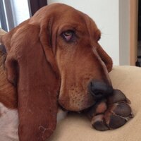 Gregg Hayes (@hayesgregg) 's Twitter Profile