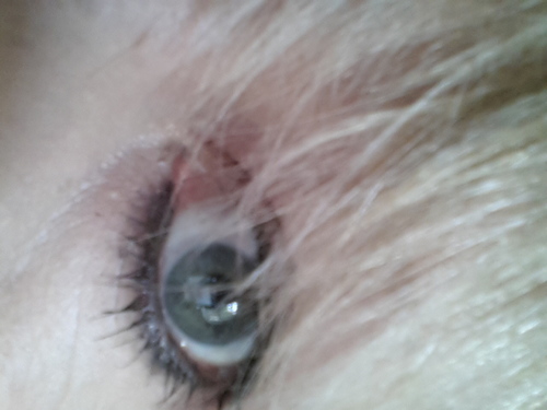 LindaGotlieb's profile picture. Marketer, artist, @artbylindagotlieb, dog-lover, loves life and living in Cape Town