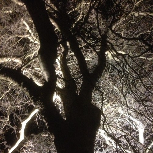 turbolighting's profile picture. 