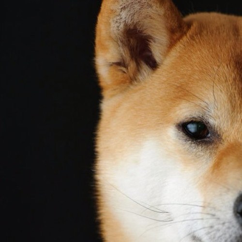 7694100's profile picture. 