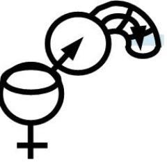 homme soumis pour Femme dominatrice, non vénal.