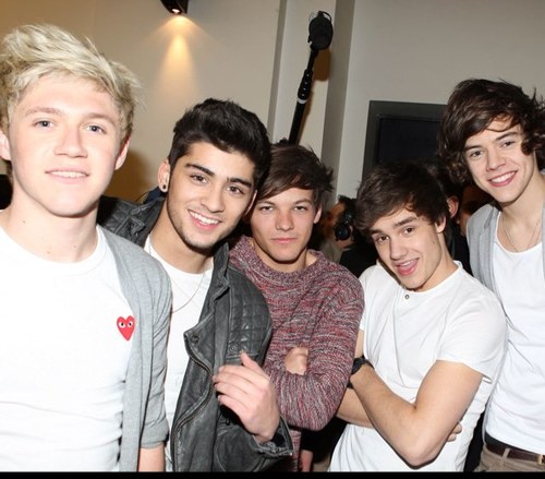 Free follow from @_ItsANiallThing !!! Please follow back on @_ItsANiallThing not this account i will follow back :)