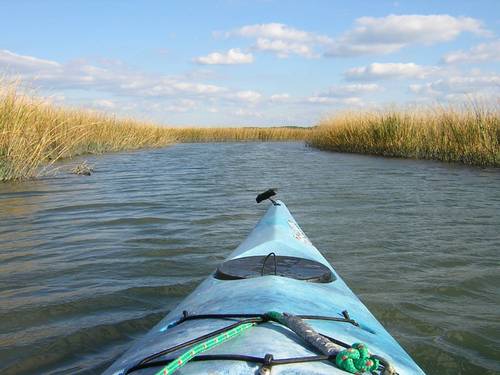 kayak_cliff's profile picture. I like palindromes... specifically kayak(s) and racecar(s)