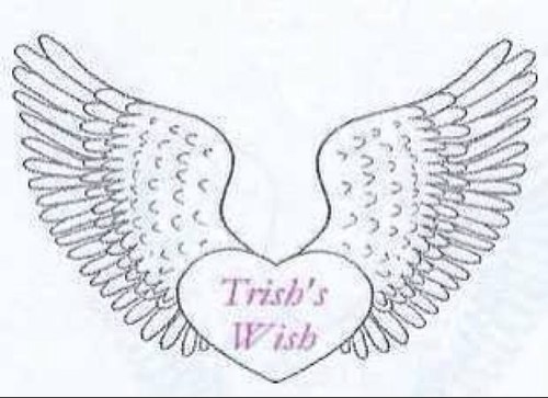 TrishsWishFdn's profile picture. Trish's Wish assists families with members between the ages of 17 to 25 who are dealing with a serious illness or injury who reside in Kawartha Lakes