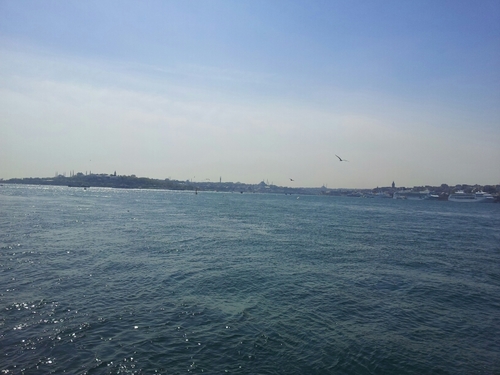 gizemerdenerr's profile picture. 