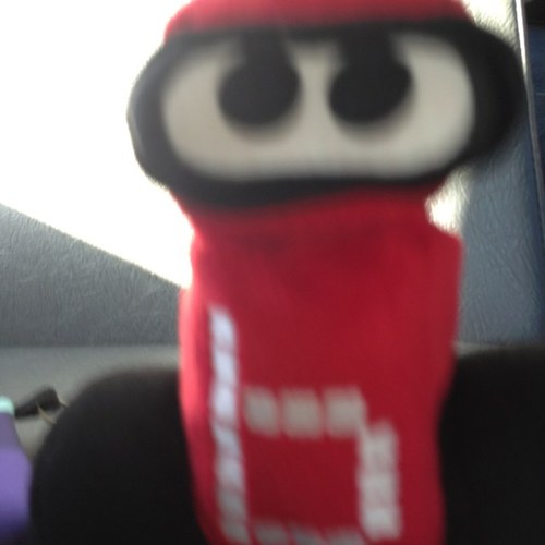 padmajab's profile picture. 