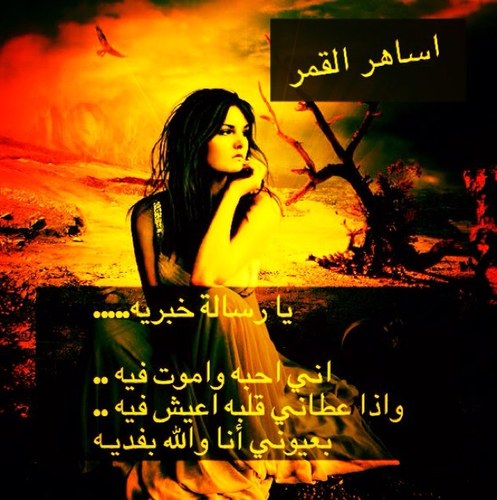 ياسائل عني من القلب لبيه.. صوت عزيز وغصب عنا نلبيك.. مثلك من الاجواد لاشك نغليه.. ونفتح لك ابواب الخفوق ونحييك.
انا انسانه احب الهدوء واعشق الرومنسيه والقراءة.