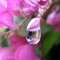 مفسر رؤيا (@mofasr_) 's Twitter Profile