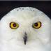 Abal (@abal004) Twitter profile photo Abal (@abal004) Twitter profile photo