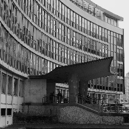 MS_EdMus's profile picture. 