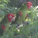 Don Eastman - @doneastman - Twitter