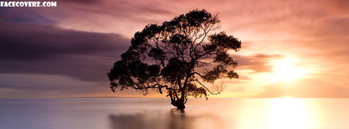 dinacapflower's profile picture. |Disapprovo quel che dite, ma difenderò fino alla morte il vostro diritto di dirlo – Voltaire|