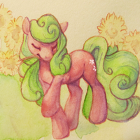 Daisy Floral (@mlp_daisy) 's Twitter Profile