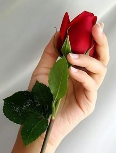 في الحياة جانب أخر ○•°♡°•○ فالنعيشها بكل تفاصيلها