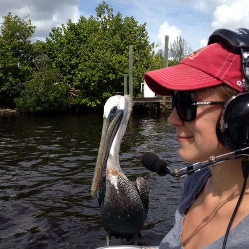 rpszwaro's profile picture. 