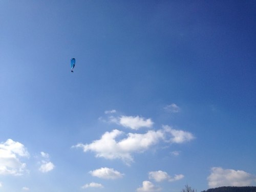 loupo88's profile picture. 