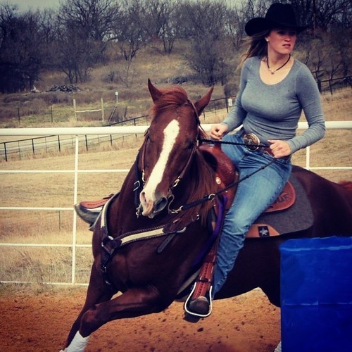 just tweeting about the common things about us horse girls.