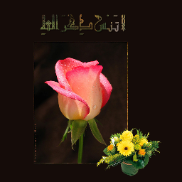 تابعنا واحصل على ريتويت #ريتويت يوميا ، وتروقبوا مفاجأتنا