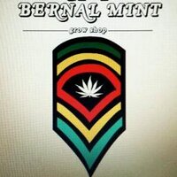 Bernal Mint GrowShop (@bernalmintgrow) 's Twitter Profile
