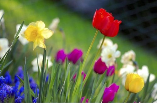 MariaBavender's profile picture. Likes family time, reading, travel, golf, staying in touch.