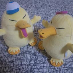 自称音楽家。活動中:コールサル(T)　休止中その他:混声合唱団LOCUS(TB)/そなーれポップスコア(A)/アルカフェ・クワイア(A)/合唱団わをん(7期～)(ATB)/トライトーンアカペラ歌う会合唱団(B)/合唱団轟(A)