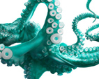 ...maniaci, eclettici, curiosi, irriverenti, questi tentacoli sono sempre pronti all'azione. Creativa.